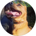 Bricia Del Angel C. profile picture